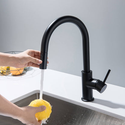 Modern Brass Kitchen Faucet with Pull-Out Hose KF10104