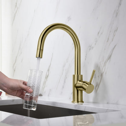 Pull-Down Kitchen Faucet with 1-Function Stream Head KF10107