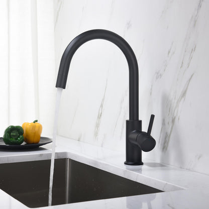 Pull-Down Kitchen Faucet with 1-Function Stream Head KF10107