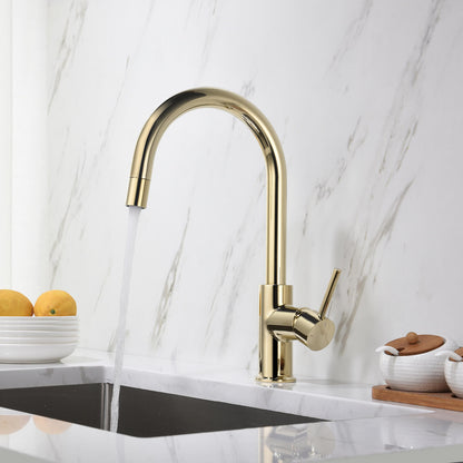 Pull-Down Kitchen Faucet with 1-Function Stream Head KF10107