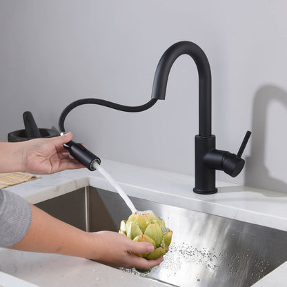 High-Quality Kitchen Faucet with Stream and Spray Modes KF10108