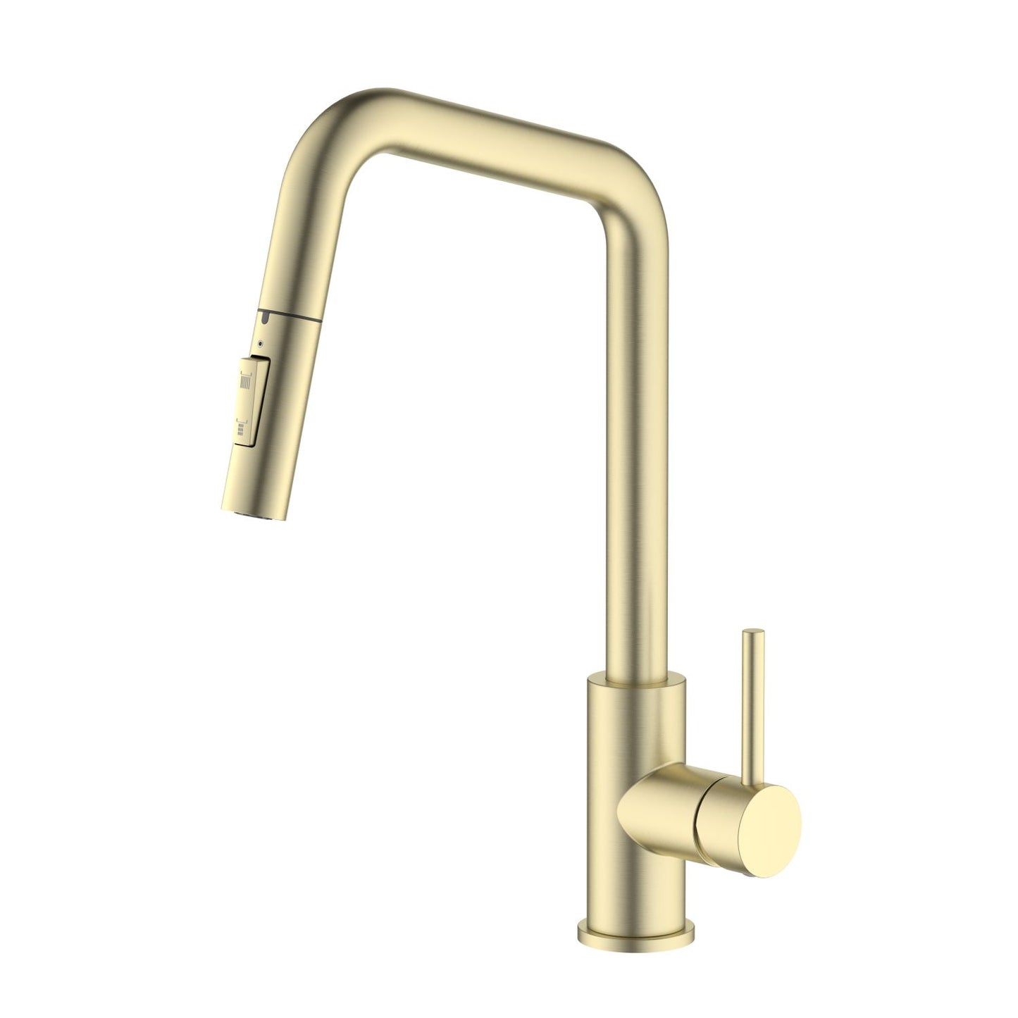SUS304 Kitchen Faucet with  pull down spray head KF10110