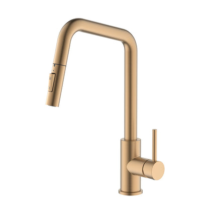 SUS304 Kitchen Faucet with  pull down spray head KF10110