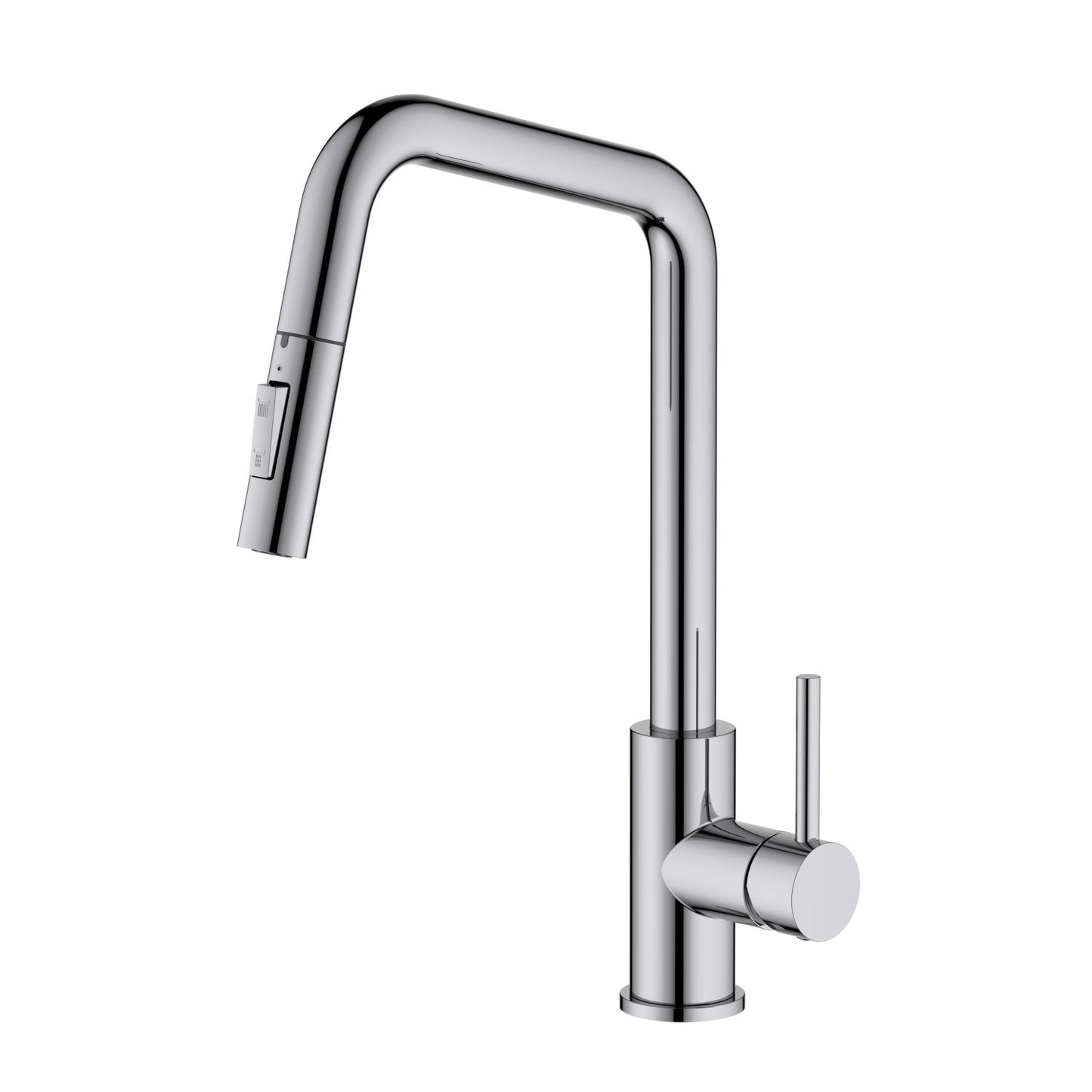 SUS304 Kitchen Faucet with  pull down spray head KF10110
