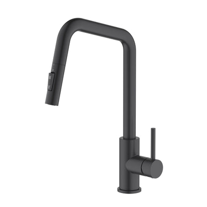 SUS304 Kitchen Faucet with  pull down spray head KF10110