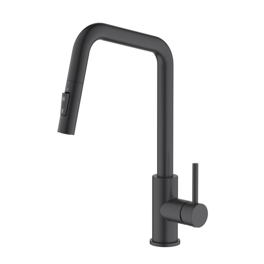 SUS304 Kitchen Faucet with  pull down spray head KF10110