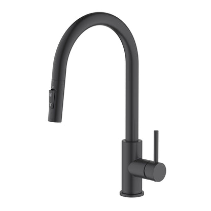 SUS304 Kitchen Faucet with Pull-Down Spray Head KF10117