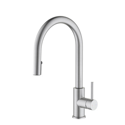 Single handle pull down kitchen faucet with hidden 2 way head shower KF10127