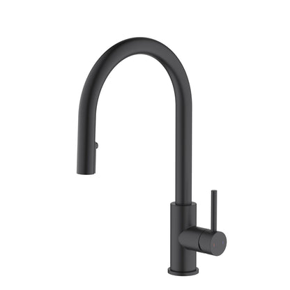 Single handle pull down kitchen faucet with hidden 2 way head shower KF10127