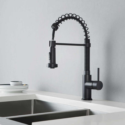 Aquavit Arena Commercial-Style Kitchen Faucet with 2-Way Spray Head KF10201