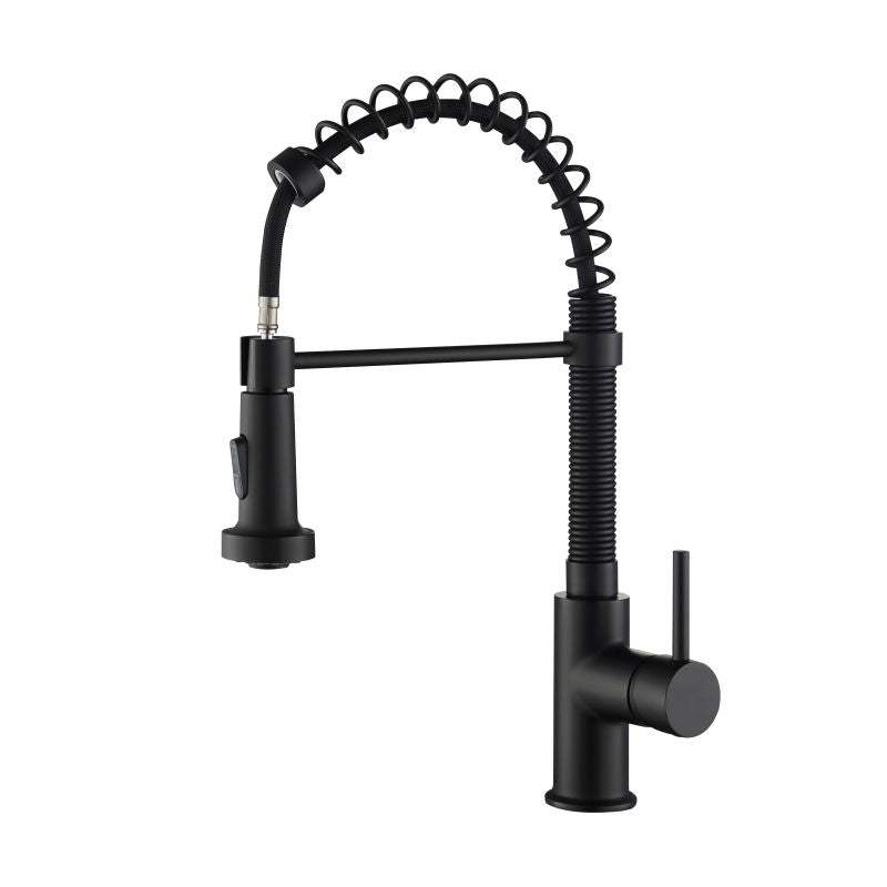 Aquavit Arena Commercial-Style Kitchen Faucet with 2-Way Spray Head KF10201