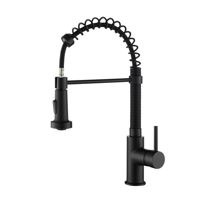 Aquavit Arena Commercial-Style Kitchen Faucet with 2-Way Spray Head KF10201