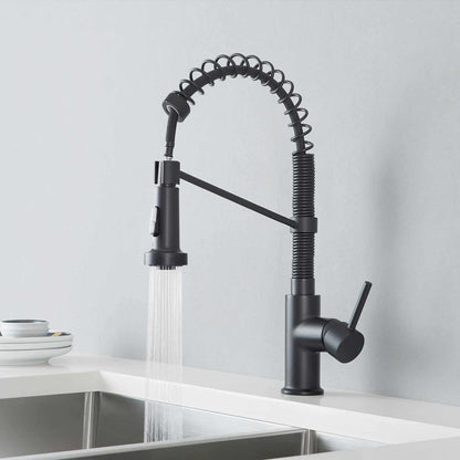 Aquavit Single handle pull down kitchen faucet with spring KF10202