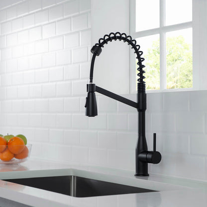 Aquavit Taper Commercial-Style Kitchen Faucet with 2-Way Spray Head KF11201