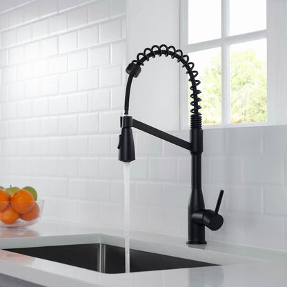 Aquavit Taper Commercial-Style Kitchen Faucet with 2-Way Spray Head KF11201