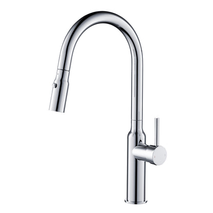 Single Handle Pull Down Kitchen Faucet with Sculptural Brass Body KF12101