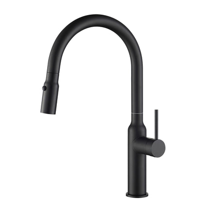 Single Handle Pull Down Kitchen Faucet with Sculptural Brass Body KF12101