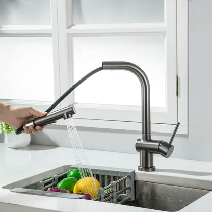 Aquavit Arcus Fold-Down Pull-Out Kitchen Faucet KF13110