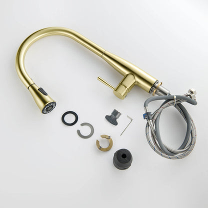 Modern Single Handle Pull-Down Kitchen Faucet with Magnetic Spray KF14101