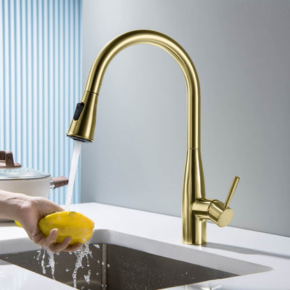 Modern Single Handle Pull-Down Kitchen Faucet with Magnetic Spray KF14101