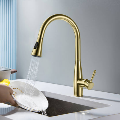 Modern Single Handle Pull-Down Kitchen Faucet with Magnetic Spray KF14101