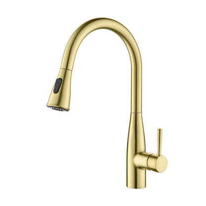 Modern Single Handle Pull-Down Kitchen Faucet with Magnetic Spray KF14101