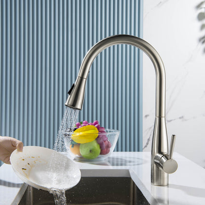 Modern Single Handle Pull-Down Kitchen Faucet with Magnetic Spray KF14101