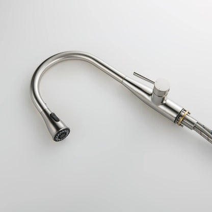 Modern Single Handle Pull-Down Kitchen Faucet with Magnetic Spray KF14101