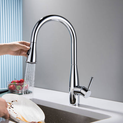Modern Single Handle Pull-Down Kitchen Faucet with Magnetic Spray KF14101