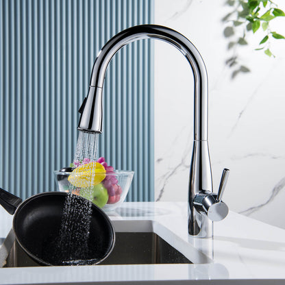 Modern Single Handle Pull-Down Kitchen Faucet with Magnetic Spray KF14101