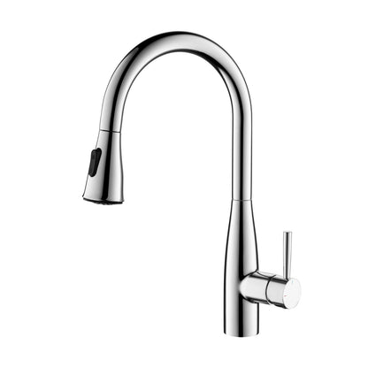 Modern Single Handle Pull-Down Kitchen Faucet with Magnetic Spray KF14101