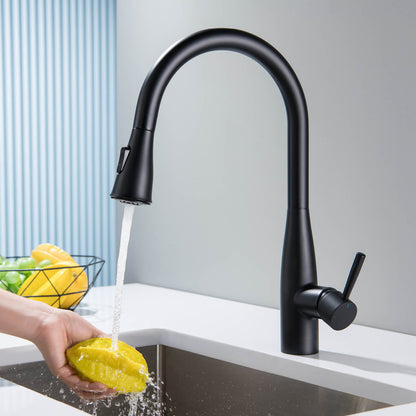 Modern Single Handle Pull-Down Kitchen Faucet with Magnetic Spray KF14101
