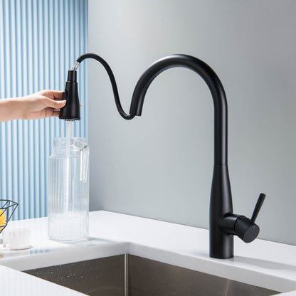 Modern Single Handle Pull-Down Kitchen Faucet with Magnetic Spray KF14101