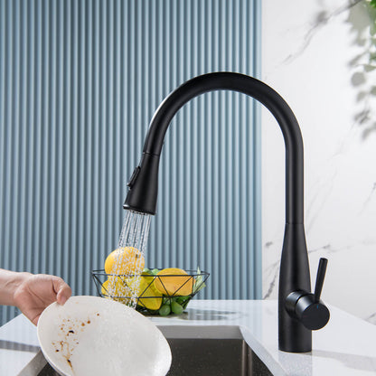 Modern Single Handle Pull-Down Kitchen Faucet with Magnetic Spray KF14101
