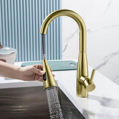 Aquavit Sleek Brass Kitchen Faucet with 360° Swivel Spout and Dual-Function Spray KF14102
