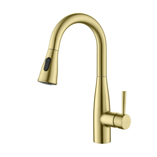 Aquavit Sleek Brass Kitchen Faucet with 360° Swivel Spout and Dual-Function Spray KF14102