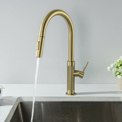 Aquavit KF15103 Single Handle Pull-Down Kitchen Faucet with Magnetic Dual-Function Spray Head