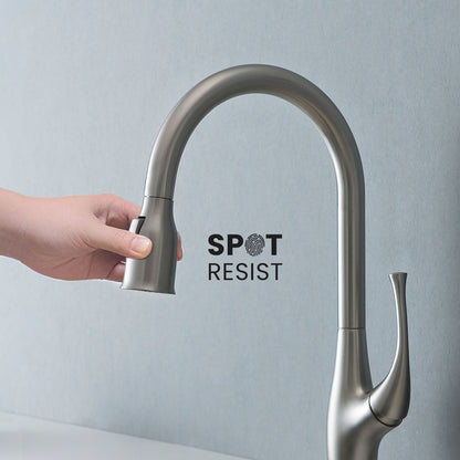Aquavit Lumina Single handle pull down  Kitchen Faucet KF18101