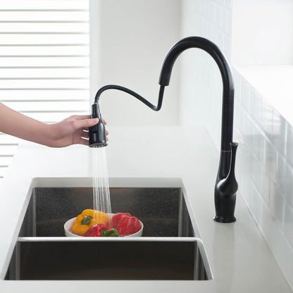 Aquavit Lumina Single handle pull down  Kitchen Faucet KF18101
