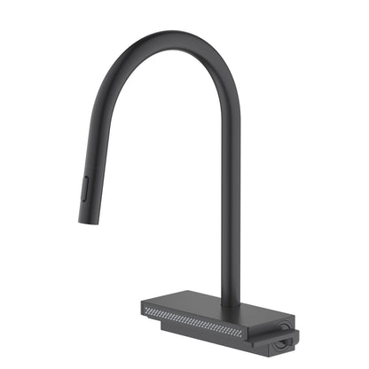 Luxury Brass Kitchen Faucet with SUS304 Spray KF20101