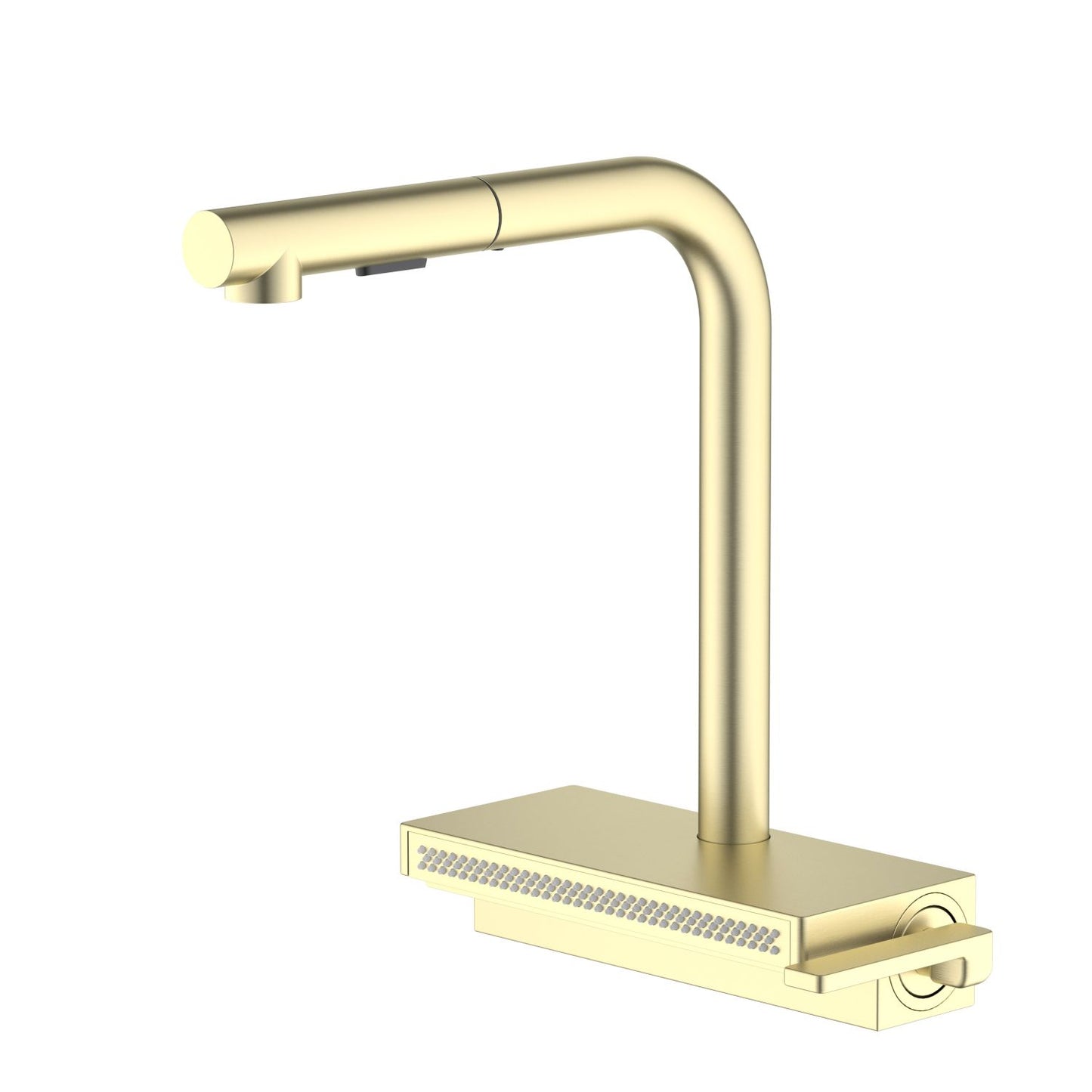 Professional Kitchen Faucet Brass Build Dual Spray SUS304 Head KF20102