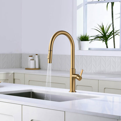 Aquavit Orbit Single Handle Pull down Kitchen Faucet KF21101