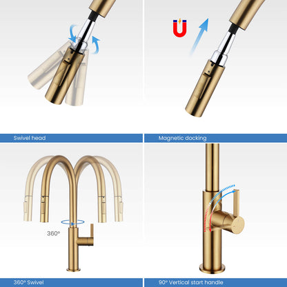 Aquavit Orbit Single Handle Pull down Kitchen Faucet KF21101