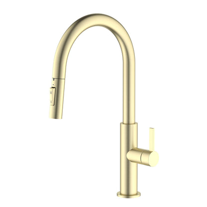 Aquavit Orbit Single Handle Pull down Kitchen Faucet KF21101