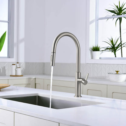 Aquavit Orbit Single Handle Pull down Kitchen Faucet KF21101