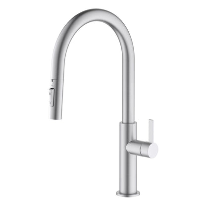 Aquavit Orbit Single Handle Pull down Kitchen Faucet KF21101
