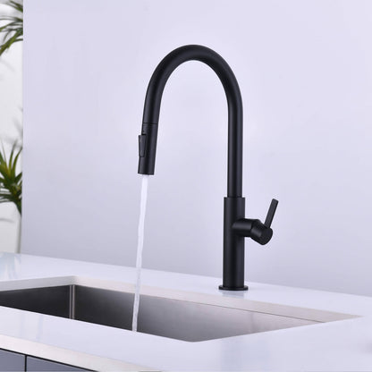 Aquavit Orbit Single Handle Pull down Kitchen Faucet KF21101