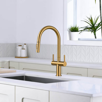 Aquavit Orbit Two Handle Pull down Kitchen Faucet KF21111