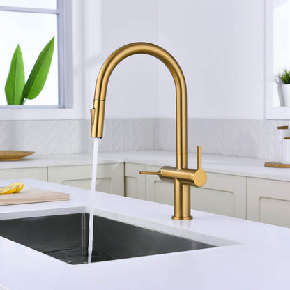 Aquavit Orbit Two Handle Pull down Kitchen Faucet KF21111