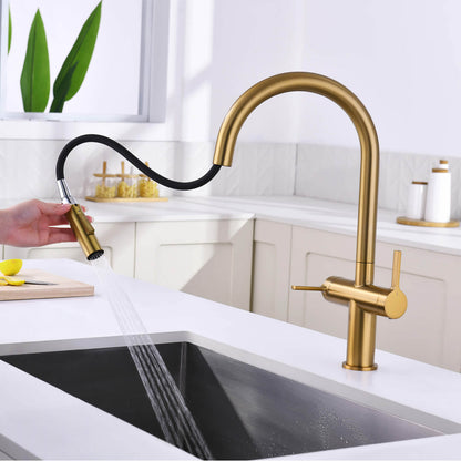 Aquavit Orbit Two Handle Pull down Kitchen Faucet KF21111